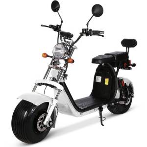 Citycoco Novi model 2026g, 1500eura