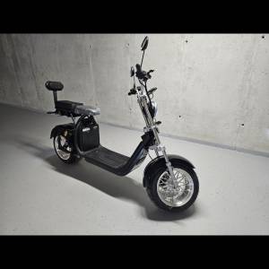 Citycoco Novi model 2026g, 1500eura