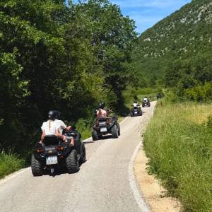 GOES IRON MAX ATV 450 cm3
