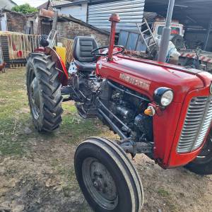 Imt 539