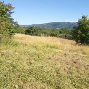 Motovun 8946m2 veliko zemljište