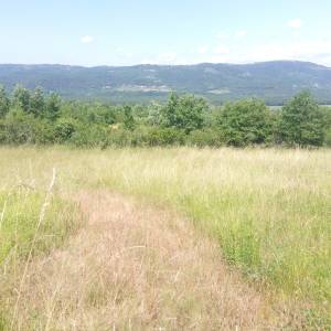 Motovun veliko zemljište, super lokacija