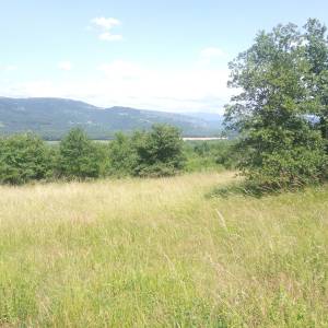 Motovun veliko zemljište, super lokacija