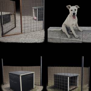 Na prodaju komplet za psa – box, kućica i ženka 
