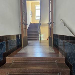 Stan 72m2 za najam adaptiran 3 sobni blizina ekon. i veter. fakulteta