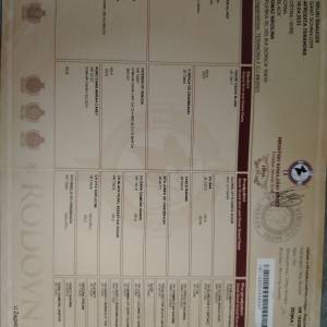 Štenci velikog crnog šnaucera