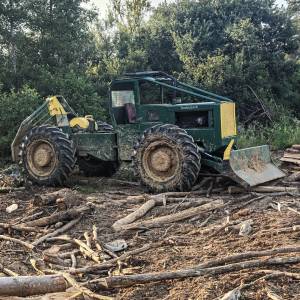 Timberjack