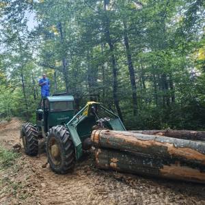 Timberjack