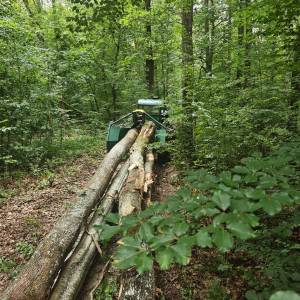 Timberjack