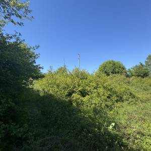 Tri Zemljišta,Vrbovsko(Ljubošina),ukupne površine 2294m2