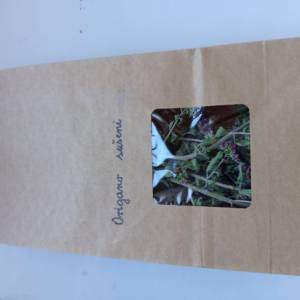 Prodajem snopiće osušenog ORIGANA (Origanum vulgare) iz ekološkog uzg.