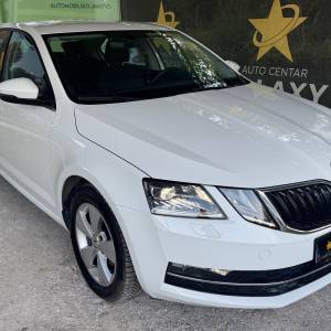 Škoda Octavia 1,6 TDI XENONKEYLESS GOGRIJANJE SJEDALAJAMSTVO 12
