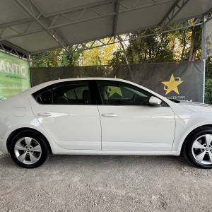 Škoda Octavia 1,6 TDI XENONKEYLESS GOGRIJANJE SJEDALAJAMSTVO 12