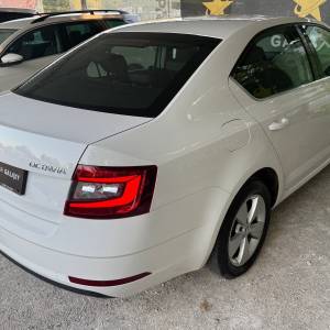 Škoda Octavia 1,6 TDI XENONKEYLESS GOGRIJANJE SJEDALAJAMSTVO 12