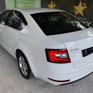 Škoda Octavia 1,6 TDI XENONKEYLESS GOGRIJANJE SJEDALAJAMSTVO 12