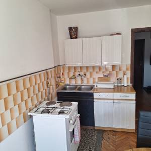 Tražim cimericu