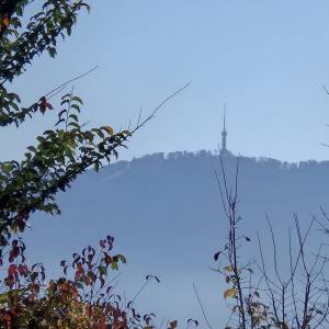 Građ. zemljište - Zaprešić - Luka - Pluska - 1472 m2